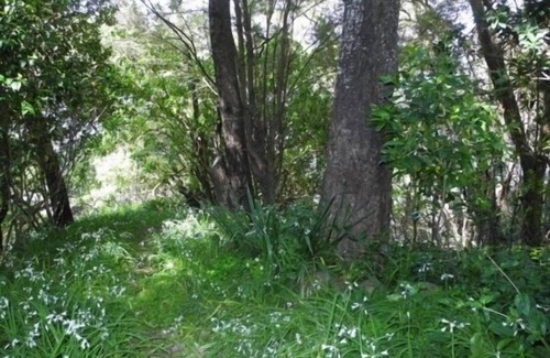 Akaroa House | Akaroa's Best Kept Secret, a hidden waterfront gem