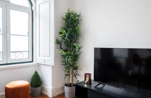Santo Condestavel Apartment | Akicity Ourique Rose