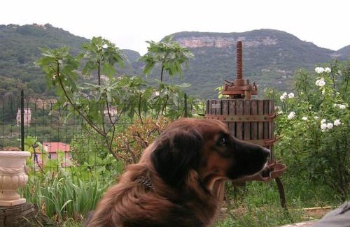 Finale Pia Bed & Breakfast | Al Riparo Affittacamere