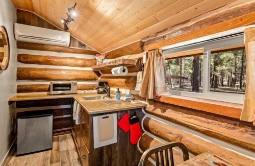 Williams Cabin | Al's Cabin | Historic Charm | Fenced Yard | Near Grand Canyon & Flagstaff