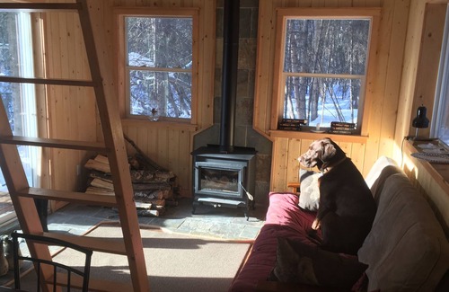 Fairbanks Cabin | Alaska vacation spot