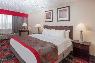 Albany Hotel | Albany Plaza Hotel