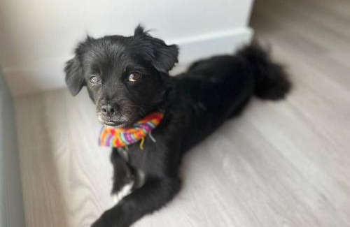 Pisco Apartment | Aldea 2BR, Service Room and Ocean View for 7