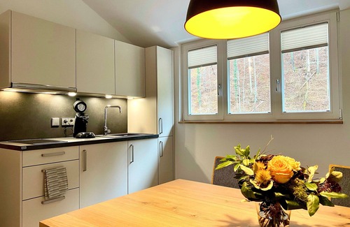 Hassmersheim Apartment | Alder - Siegelsbacher Mühle