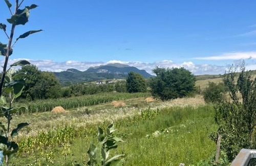 Valcea County House | Aldevis House