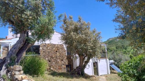 Envendos Bed & Breakfast | Alegria rustica 2 Rustic happiness