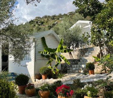 Jala Hotel | ALEVRA