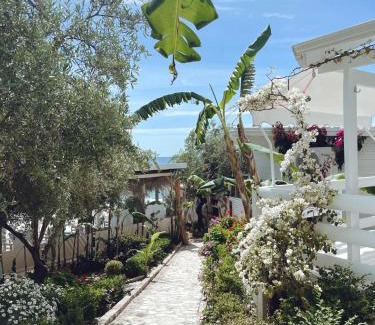 Jala Hotel | ALEVRA