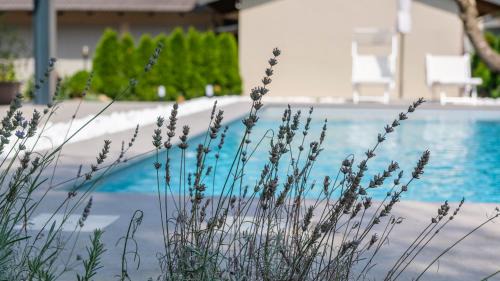 Albiano d'Ivrea Apartment | Alfredo Residence