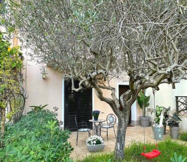 Birgi Vecchi Resort | Alice Kite Resort