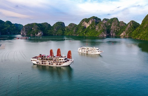 Ha Long Hotel | Alisa Premier Cruise