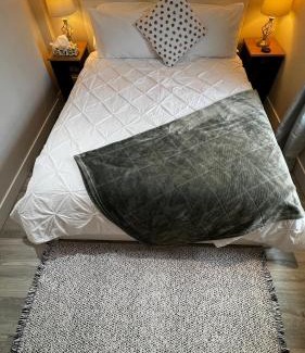 Chilliwack Proper Village West House | ALL NEW 2BR Loft