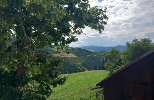 Huettenberg Apartment | Alm-Chalet in der Nähe vom Klippitztörl
