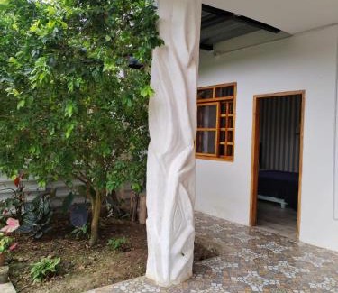 Montanita House | Alma del bosque