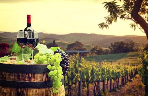 Alma House | Alma Retreat, King bed, Family, Pet Friendly