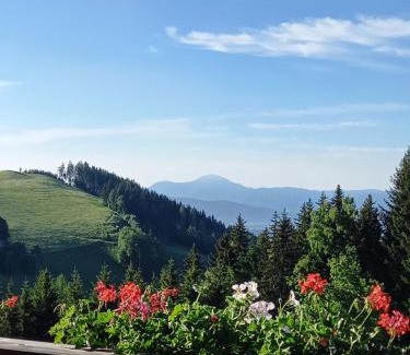 Diex Ski Chalet | Almchalet Schuster