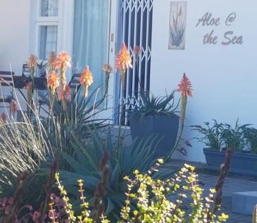 Linkside Apartment | Aloe @ the Sea