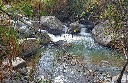 San Pedro Apartment | Aloha chirripo cabaña familiar