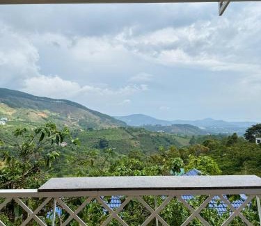 Lam Ha Hotel | Aloha farm