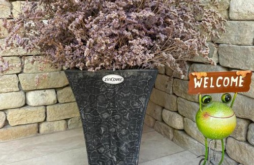 Bekesszentandras House | Aloha Hawaii Lak