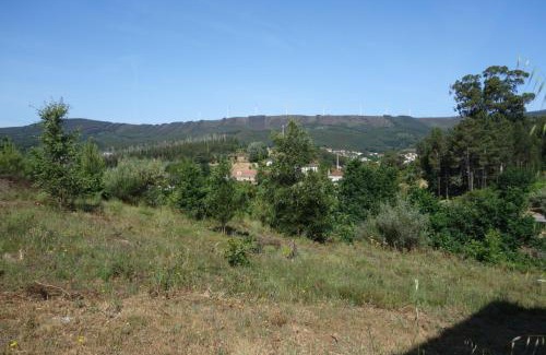 Castanheira de Pera House | Alojamento Antonio