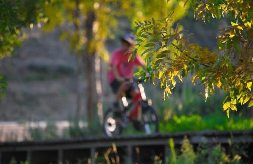 Estreito House | Alojamentos Turísticos São Torcato Moradal Turismo Espaço Rural