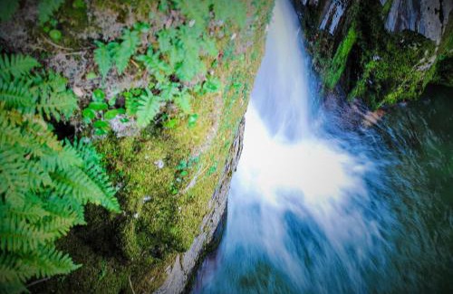 Estreito House | Alojamentos Turísticos São Torcato Moradal Turismo Espaço Rural