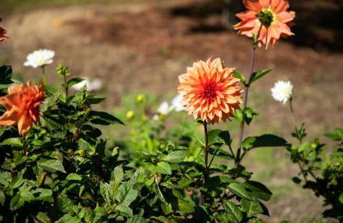 Pozuelo de Alarcon Hotel | Alojamiento cristo rey