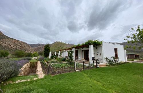Montagu Apartment | Alpaca Inn