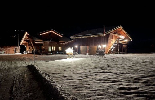 Gstaad Apartment | Alpenchalet Weidhaus Studio Nr. 3 Saanen