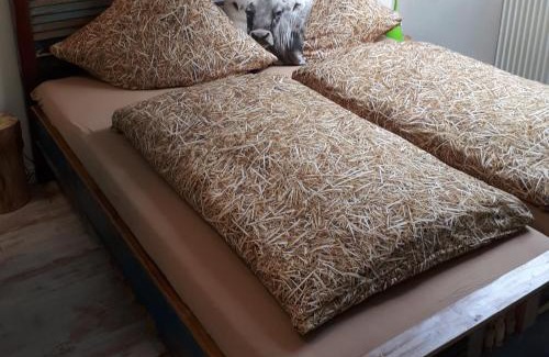 Rappele Apartment | Alphorn Bergnescht