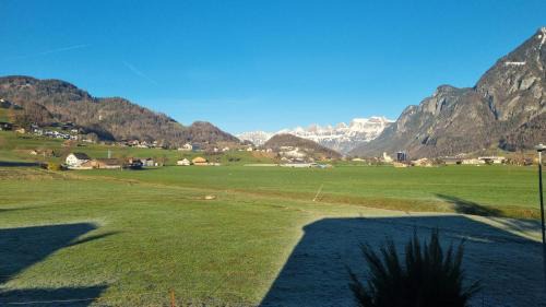 Vilters-Wangs House | Alpine Garage Lodge