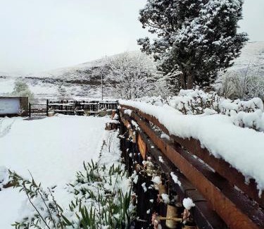 Rhodes Cabin | Alpine Swift Trails