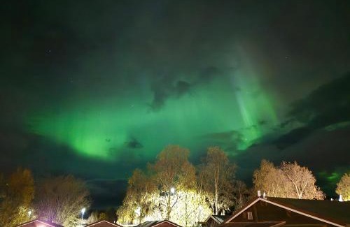 Alta Other | Alta River Camping