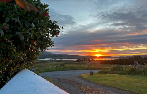 Caroy House | Altvaid