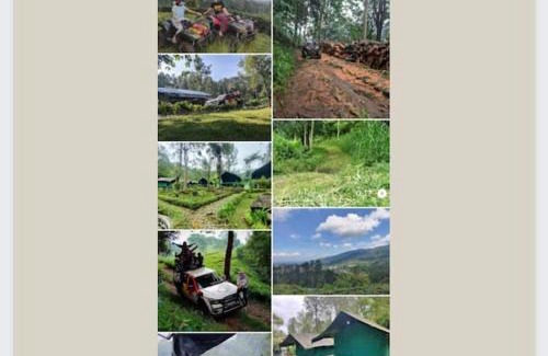 Cipanas House | Alulu Luxury Residence - Three Bedroom Villa