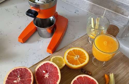 South Venice House | Always Eden Venice - a dreamy oasis near a sunny beach