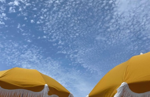 South Venice House | Always Eden Venice - a dreamy oasis near a sunny beach