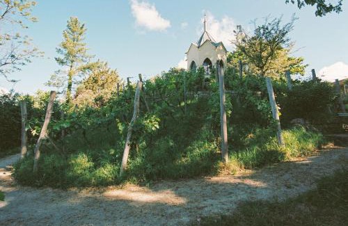Werder Apartment | Am Mühlenberg