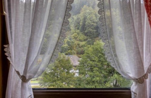 Todtmoos Apartment | Am Wehrastrand App 2