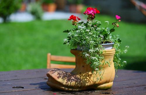 Turda House | AMA Guest House