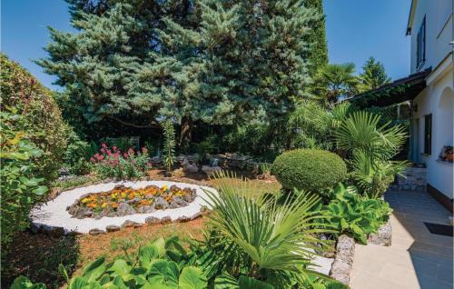 Novigrad Apartment | Amazing Apartment In Novigrad With Wifi