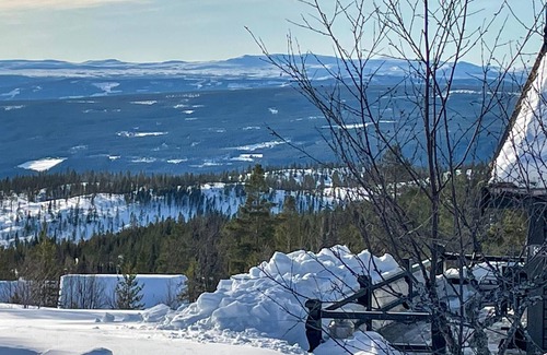 Akrestrømmen House | Amazing home in Rendalen with WiFi