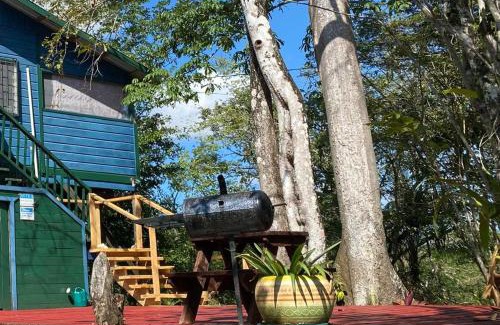 Burrell Boom House | Amazing Jungle Tree House right over the river with bikes and canoe