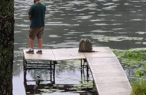 Athelstane Cabin | Amazing private lakefront cabin on the trails!