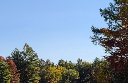 Athelstane Cabin | Amazing private lakefront cabin on the trails!