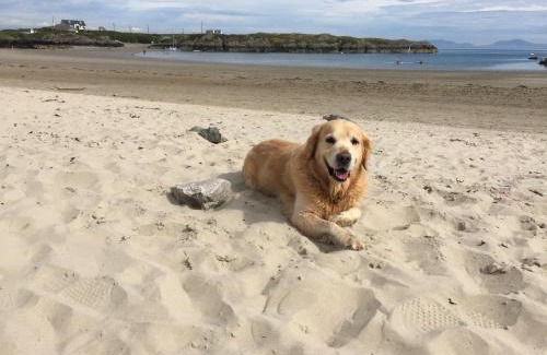 Rhoscolyn House | Amazing Sea Views, Short Walk to the Beach