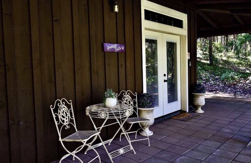 Selma Apartment | Amethyst Suite 2 Queen ClawfootTub WiFi AC