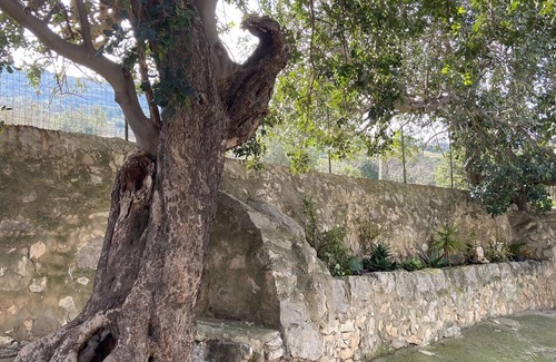 Comiso House | ancient rural house, nature and tranquility