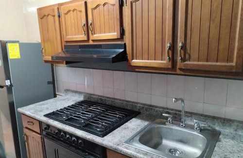 Guadalupe Apartment | Andali Gris